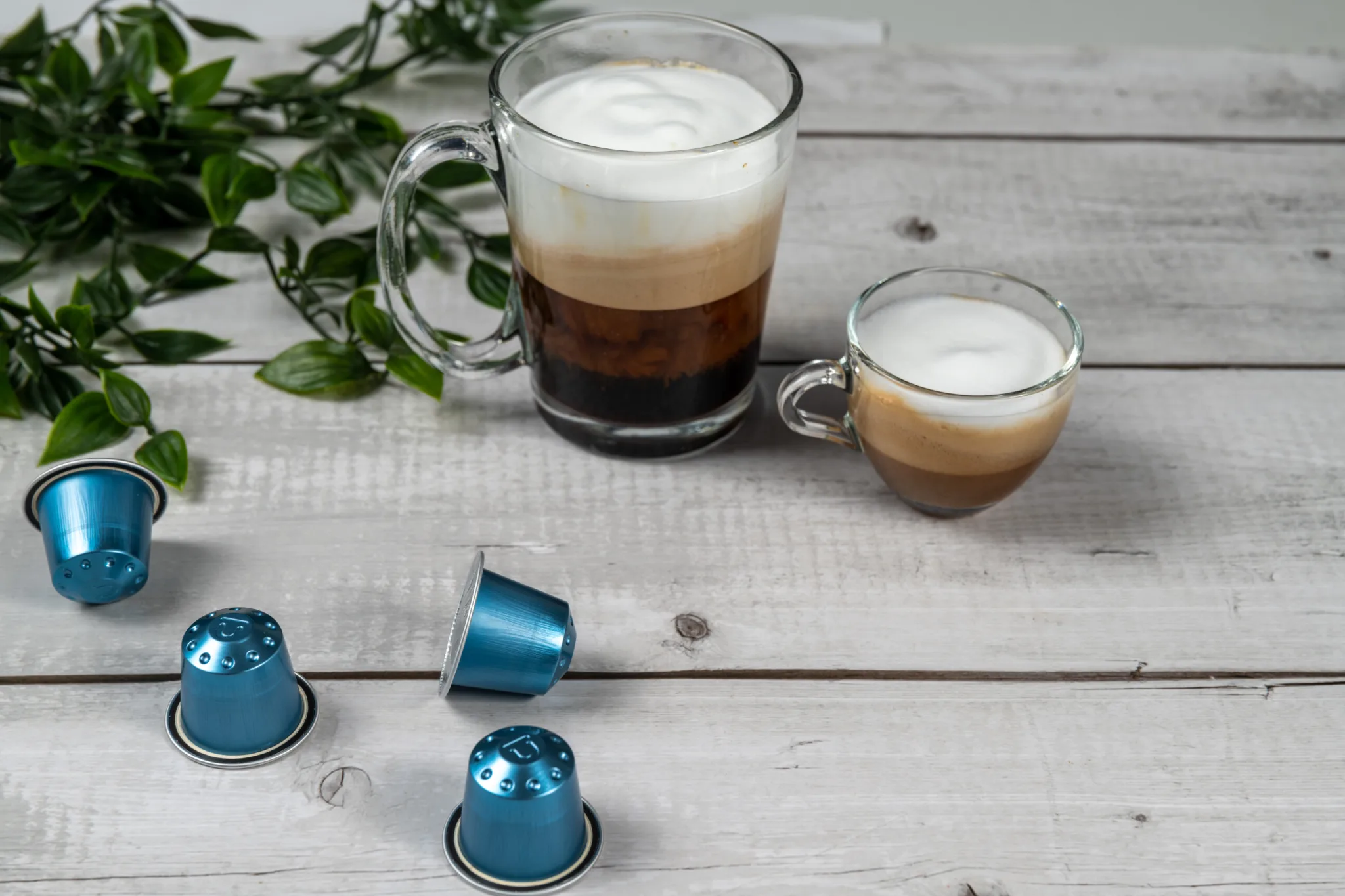 צילום מוצרים לקפה ג'ו